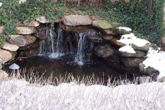 photo059