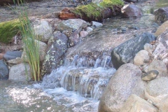 photo061