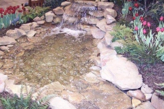 photo062
