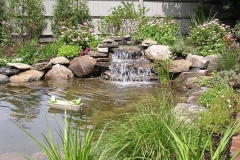 photo065