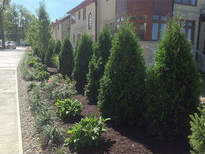 Commercial Landscaping, Avon, OH